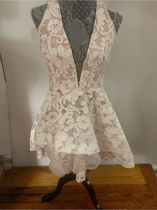 AKIRA Dresses & Skirts - AKIRA Lace Skater Dress in Blush and White